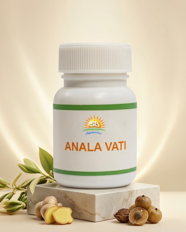01 Anala Vati Ayurvedic Digestive Tablet