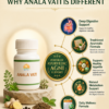 04 Anala Vati Ayurvedic Digestive Tablet